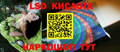 ГАЛЛЮЦИНОГЕННЫЕ ГРИБЫ Изобильный