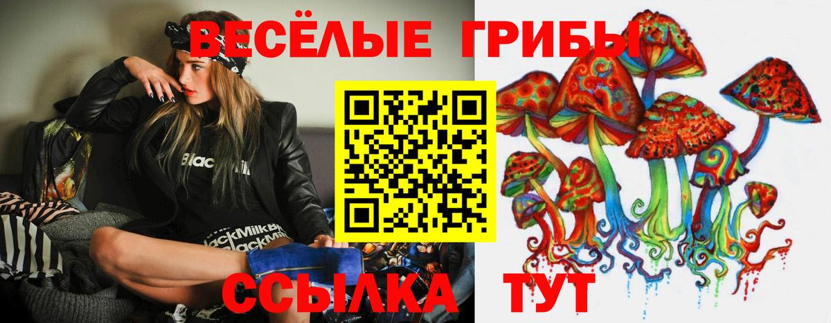 Псилоцибиновые грибы Psilocybe  Галлюциногенные грибы Cubensis  купить  сайты  Вход с VPN  Курчатов 